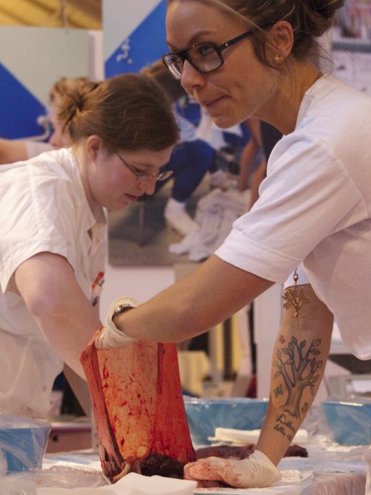Sundhedsdage 2013