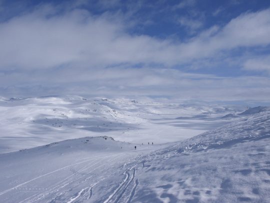 Hardangerjökull
