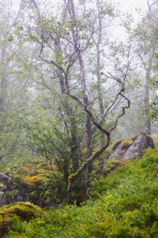 Landskabsfotografi fra naturen i Norge.